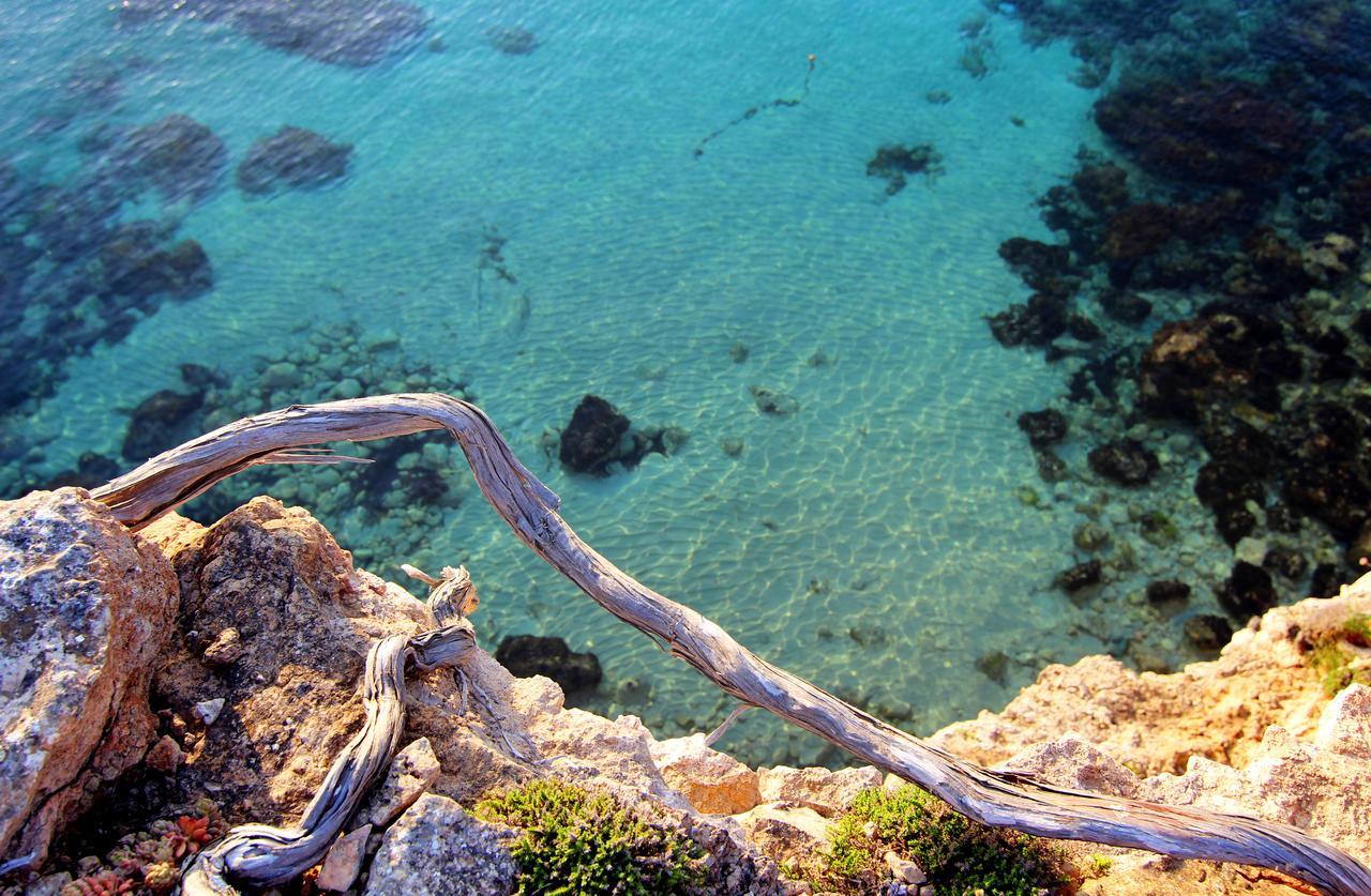 Gatzara Suites Santa Gertrudis Santa Gertrudis  Dış mekan fotoğraf